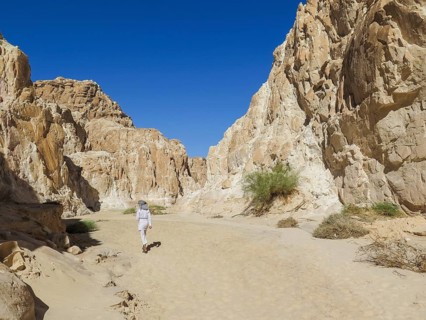 Bedouin in the White Canyon