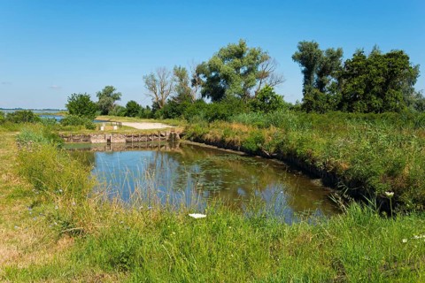 Hortobagy Fish Ponds