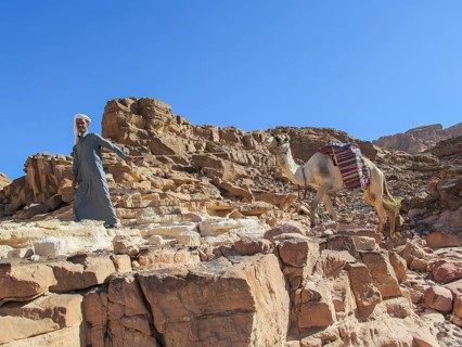 Bedouin leading camel