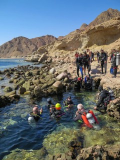 Diver at the entrance of The Bells