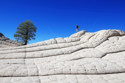 Hiker in White Pocket Canyon