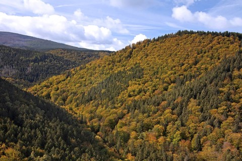 View from the Ilsestein
