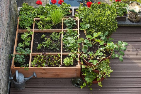 Square foot gardening by planting flowers