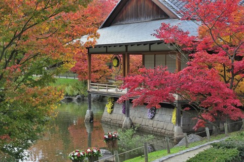 Pavilion