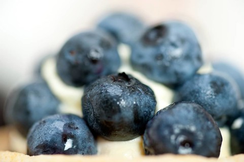 Fresh blueberry cream cupcake homemade closeup macro