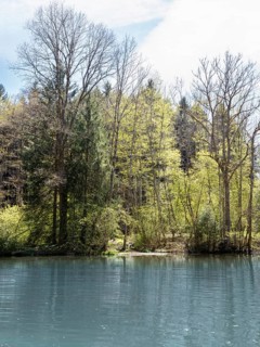 Pond