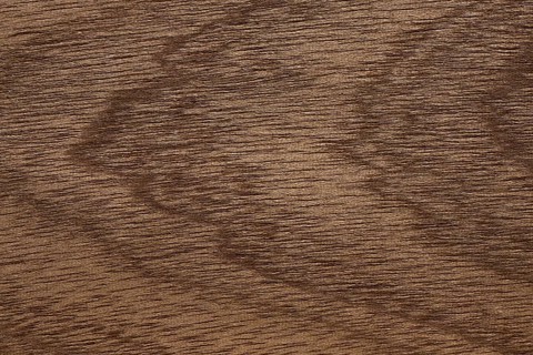 Wood grain of Sapele