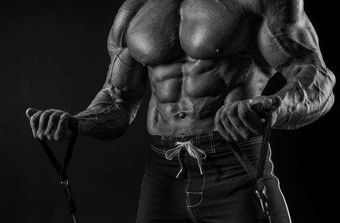 Muscular male torso. Perfect fit