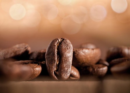 Coffee beans on a blurred background