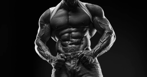 Muscular male torso. Perfect fit
