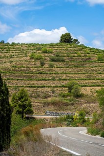 Country road between the vineyards of the Priorat designation of origin area in the province of Tarragona in Catalonia in Spain