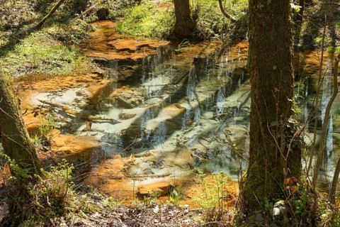 Spring and stream of the Schwindebach or Schwindebeck