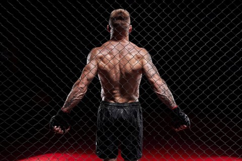 Dramatic depiction of a fighter in an octagon cage. Back view. The concept of sports