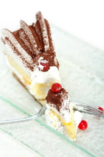 Fresh ribes and whipped cream dessert cake slice with cocoa powder on top