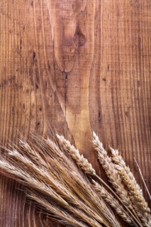 Copyspace photo ears of corn and rice on vintage wooden board concept