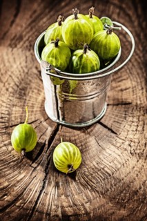 Gooseberries in metal bucket on vintage wooden board