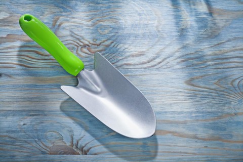 Hand shovel on wooden board gardening concept