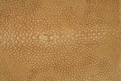 High rezolution texture of leather