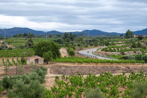 Experience stunning vineyard landscapes in the Priorat wine region
