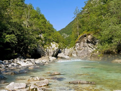 River Soca with crystal clear water flows through wooded canyon