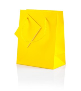 Yellow paper bag insulated