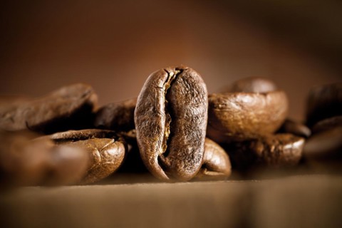 Coffee beans on a dark background