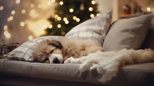 Cute dog sleeping on sofa in room with Christmas tree and lights Ai generated