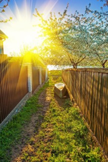 Sunny sunrise in a village on the banks of a small river
