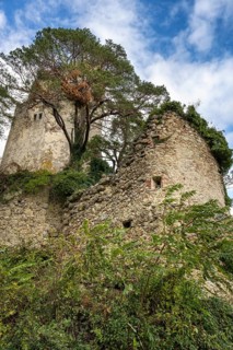 The ruins of Altbodman Castle on the Bodanrueck