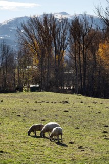 Village of San Martin de Aravo in the Cerdanya area in the province of Gerona in Catalonia in Spain