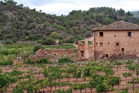 Experience stunning vineyard landscapes in the Priorat wine region