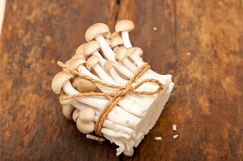 Bunch of fresh wild mushrooms on a rustic wood table tied with a rope