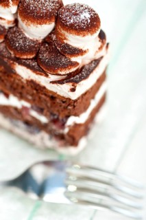 Fresh whipped cream dessert cake slice with cocoa powder on top
