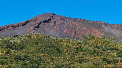 Green-yellow overgrown mountainside