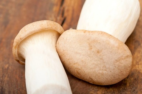 Bunch of fresh wild mushrooms on a rustic wood table