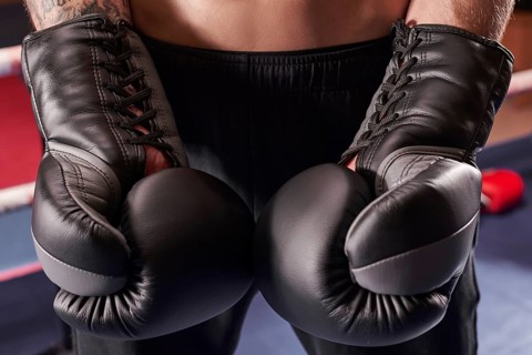 Image of boxing gloves. The concept of mixed martial arts. MMA