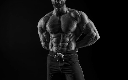 Muscular male torso. Perfect fit