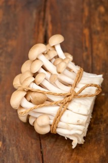 Bunch of fresh wild mushrooms on a rustic wood table tied with a rope