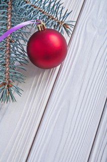 Copyspace picture mat red Christmas bauble and Christmas tree branch on white wooden panels