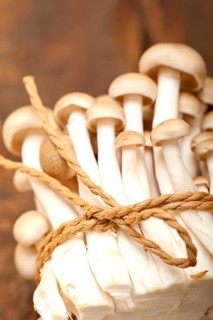 Bunch of fresh wild mushrooms on a rustic wood table tied with a rope