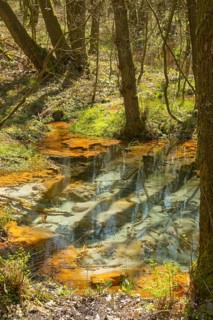 Spring and stream of the Schwindebach or Schwindebeck