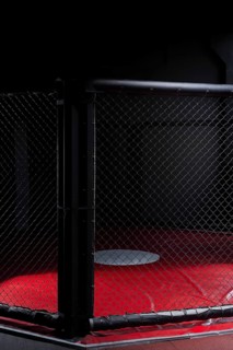 Image of an octagon. Concept of boxing
