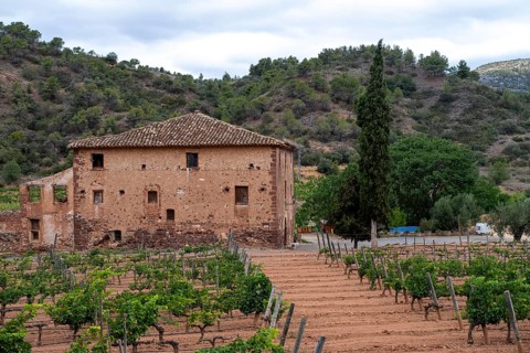 Experience stunning vineyard landscapes in the Priorat wine region