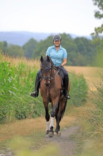 Rider with warmblood on a country lane