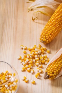 Ear of corn on the table