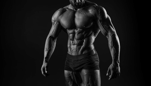 Muscular male torso. Perfect fit