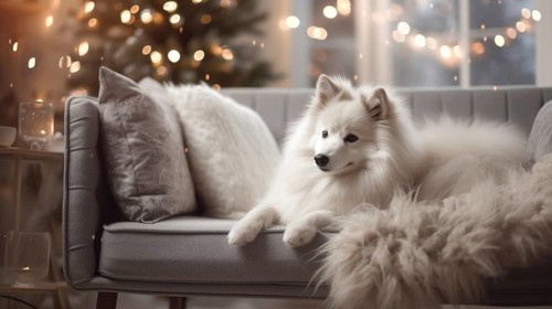 Cute Pomeranian dog on sofa in room decorated for Christmas Ai generated