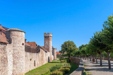Historic city wall