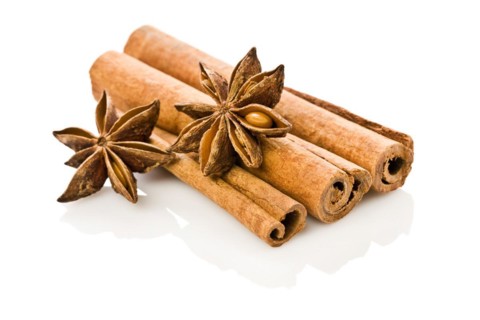 Anice and cinnamon isolated