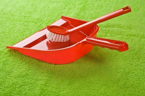 Dustpan with brush